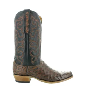 ALEDO